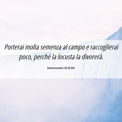 Picture 06 - Deuteronomio 28:38 RIV - Porterai molta semenza al campo e raccoglierai - Bible Verse Picture