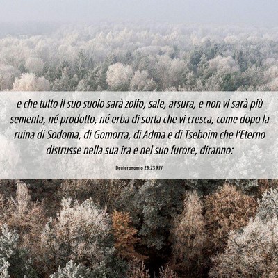 Picture 06 - Deuteronomio 29:23 RIV - e che tutto il suo suolo sarà zolfo, sale, - Bible Verse Picture