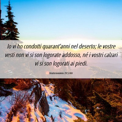 Picture 06 - Deuteronomio 29:5 RIV - Io vi ho condotti quarant’anni nel deserto; le - Bible Verse Picture