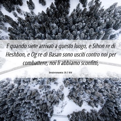 Picture 06 - Deuteronomio 29:7 RIV - E quando siete arrivati a questo luogo, e Sihon - Bible Verse Picture