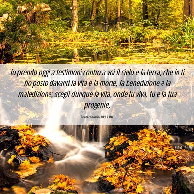 Picture 06 - Deuteronomio 30:19 RIV - Io prendo oggi a testimoni contro a voi il cielo - Bible Verse Picture