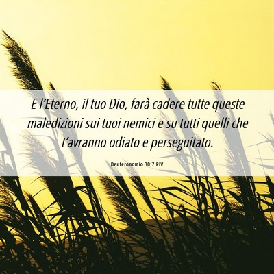 Picture 06 - Deuteronomio 30:7 RIV - E l’Eterno, il tuo Dio, farà cadere tutte - Bible Verse Picture