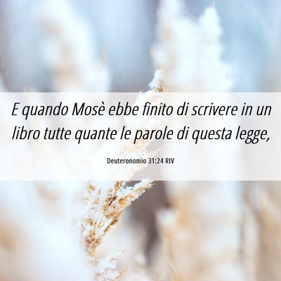 Picture 06 - Deuteronomio 31:24 RIV - E quando Mosè ebbe finito di scrivere in un - Bible Verse Picture