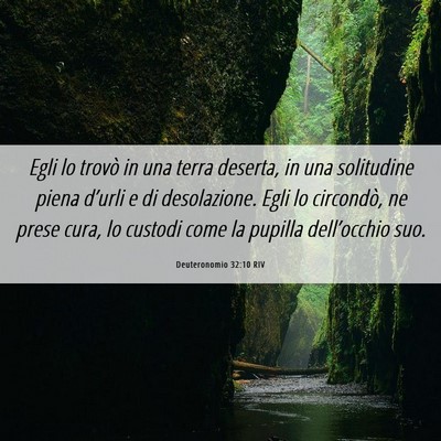 Picture 06 - Deuteronomio 32:10 RIV - Egli lo trovò in una terra deserta, in una - Bible Verse Picture