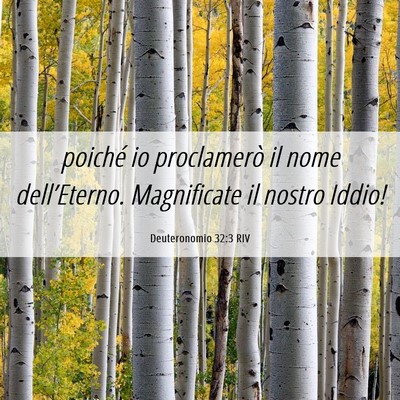 Picture 06 - Deuteronomio 32:3 RIV - poiché io proclamerò il nome dell’Eterno. - Bible Verse Picture