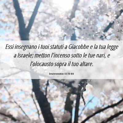 Picture 06 - Deuteronomio 33:10 RIV - Essi insegnano i tuoi statuti a Giacobbe e la tua - Bible Verse Picture