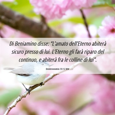 Picture 06 - Deuteronomio 33:12 RIV - Di Beniamino disse: “L’amato dell’Eterno - Bible Verse Picture