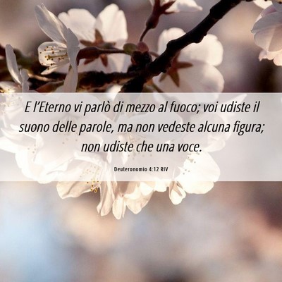 Picture 06 - Deuteronomio 4:12 RIV - E l’Eterno vi parlò di mezzo al fuoco; voi - Bible Verse Picture