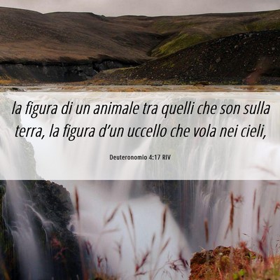 Picture 06 - Deuteronomio 4:17 RIV - la figura di un animale tra quelli che son sulla - Bible Verse Picture