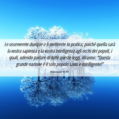 Picture 06 - Deuteronomio 4:6 RIV - Le osserverete dunque e li metterete in pratica; - Bible Verse Picture