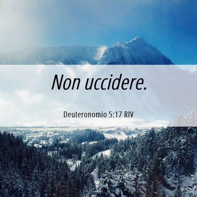 Picture 06 - Deuteronomio 5:17 RIV - Non - Bible Verse Picture