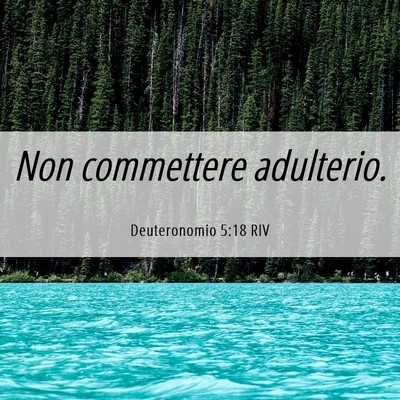 Picture 06 - Deuteronomio 5:18 RIV - Non commettere - Bible Verse Picture