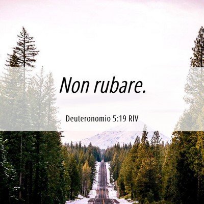 Picture 06 - Deuteronomio 5:19 RIV - Non - Bible Verse Picture