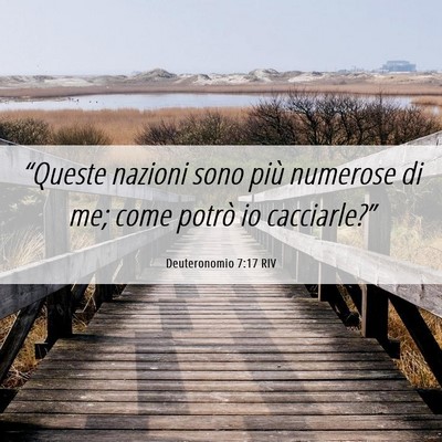 Picture 06 - Deuteronomio 7:17 RIV - “Queste nazioni sono più numerose di me; come - Bible Verse Picture