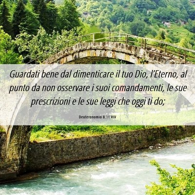 Picture 06 - Deuteronomio 8:11 RIV - Guardati bene dal dimenticare il tuo Dio, - Bible Verse Picture
