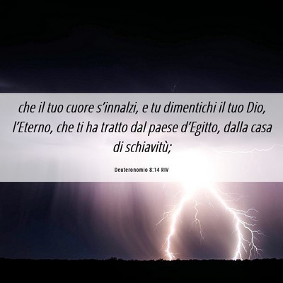 Picture 06 - Deuteronomio 8:14 RIV - che il tuo cuore s’innalzi, e tu dimentichi il - Bible Verse Picture