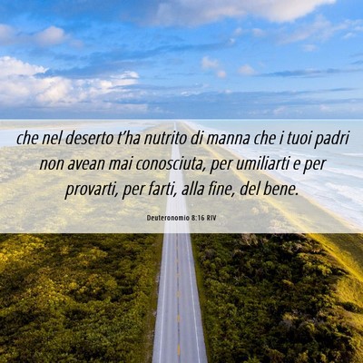 Picture 06 - Deuteronomio 8:16 RIV - che nel deserto t’ha nutrito di manna che i - Bible Verse Picture