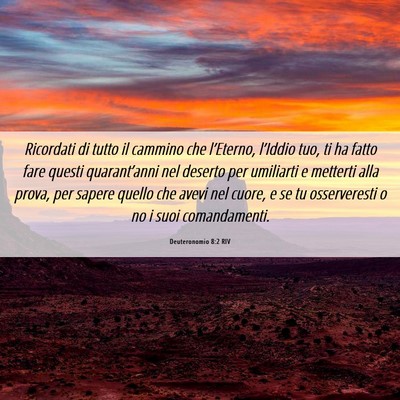 Picture 06 - Deuteronomio 8:2 RIV - Ricordati di tutto il cammino che l’Eterno, - Bible Verse Picture