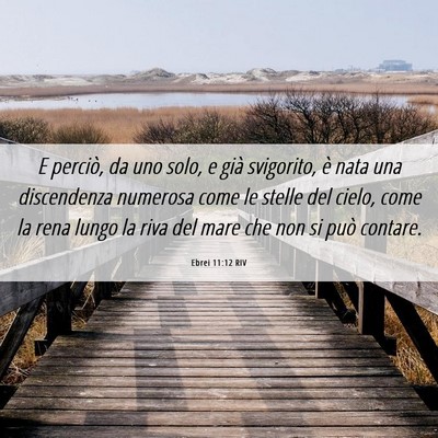 Picture 06 - Ebrei 11:12 RIV - E perciò, da uno solo, e già svigorito, è nata - Bible Verse Picture