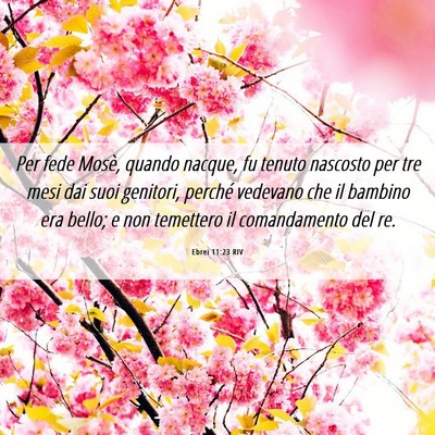 Picture 06 - Ebrei 11:23 RIV - Per fede Mosè, quando nacque, fu tenuto nascosto - Bible Verse Picture