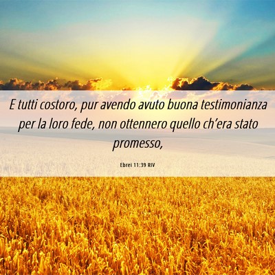Picture 06 - Ebrei 11:39 RIV - E tutti costoro, pur avendo avuto buona - Bible Verse Picture