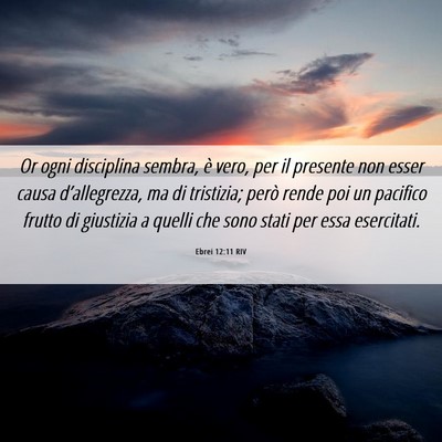 Picture 06 - Ebrei 12:11 RIV - Or ogni disciplina sembra, è vero, per il - Bible Verse Picture