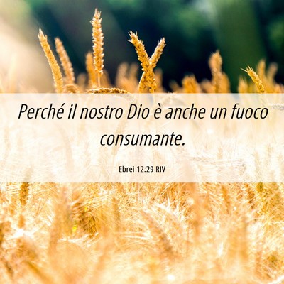 Picture 06 - Ebrei 12:29 RIV - Perché il nostro Dio è anche un fuoco - Bible Verse Picture