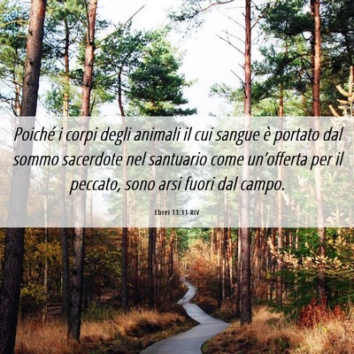Picture 06 - Ebrei 13:11 RIV - Poiché i corpi degli animali il cui sangue è - Bible Verse Picture