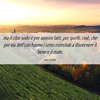 Picture 06 - Ebrei 5:14 RIV - ma il cibo sodo è per uomini fatti; per quelli, - Bible Verse Picture