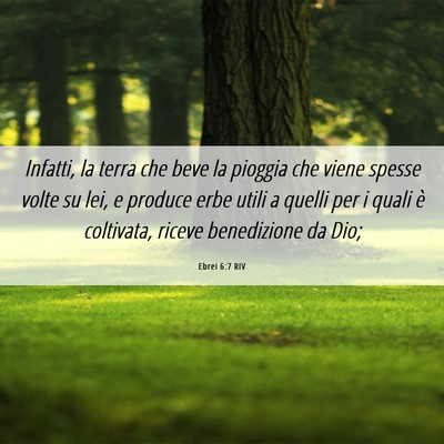 Picture 06 - Ebrei 6:7 RIV - Infatti, la terra che beve la pioggia che viene - Bible Verse Picture