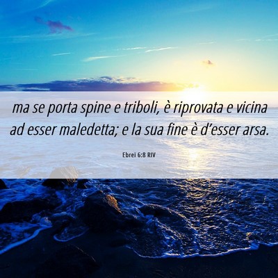 Picture 06 - Ebrei 6:8 RIV - ma se porta spine e triboli, è riprovata e - Bible Verse Picture