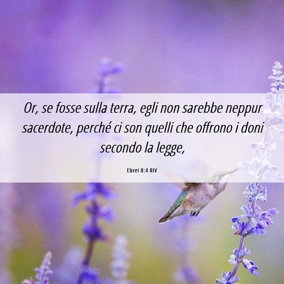 Picture 06 - Ebrei 8:4 RIV - Or, se fosse sulla terra, egli non sarebbe neppur - Bible Verse Picture