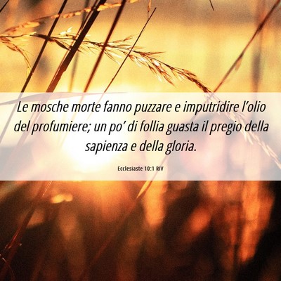 Picture 06 - Ecclesiaste 10:1 RIV - Le mosche morte fanno puzzare e imputridire - Bible Verse Picture