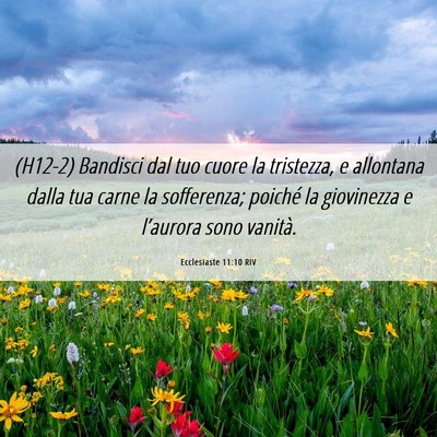 Picture 06 - Ecclesiaste 11:10 RIV - (H12-2) Bandisci dal tuo cuore la tristezza, e - Bible Verse Picture