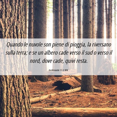 Picture 06 - Ecclesiaste 11:3 RIV - Quando le nuvole son piene di pioggia, la - Bible Verse Picture