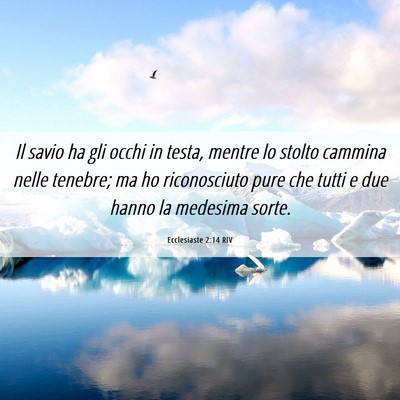 Picture 06 - Ecclesiaste 2:14 RIV - Il savio ha gli occhi in testa, mentre lo stolto - Bible Verse Picture