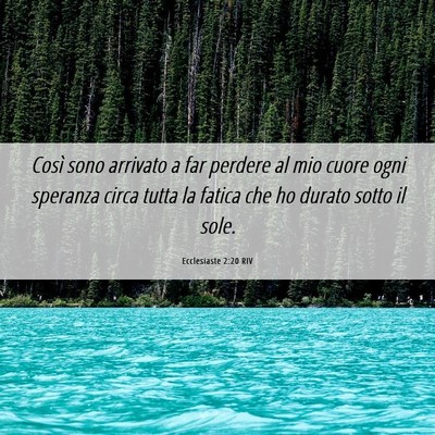Picture 06 - Ecclesiaste 2:20 RIV - Così sono arrivato a far perdere al mio cuore - Bible Verse Picture
