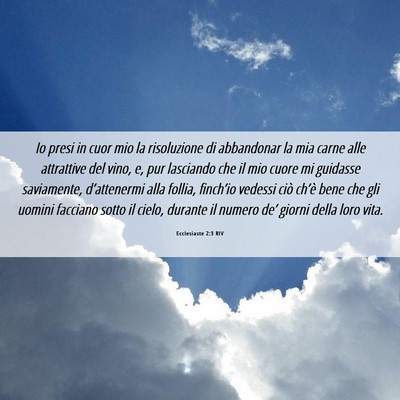 Picture 06 - Ecclesiaste 2:3 RIV - Io presi in cuor mio la risoluzione di abbandonar - Bible Verse Picture