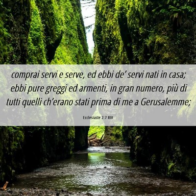 Picture 06 - Ecclesiaste 2:7 RIV - comprai servi e serve, ed ebbi de’ servi nati - Bible Verse Picture