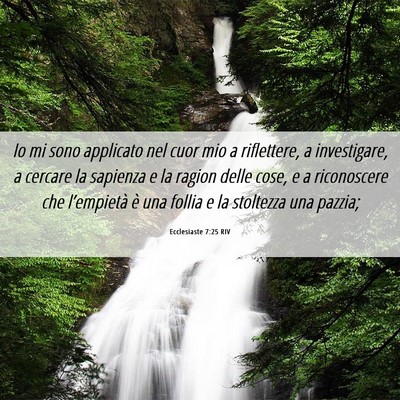 Picture 06 - Ecclesiaste 7:25 RIV - Io mi sono applicato nel cuor mio a riflettere, a - Bible Verse Picture