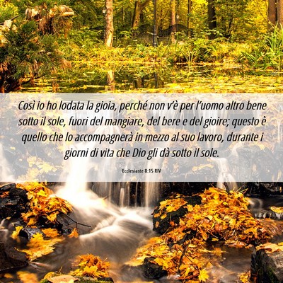 Picture 06 - Ecclesiaste 8:15 RIV - Così io ho lodata la gioia, perché non v’è - Bible Verse Picture