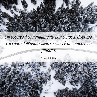 Picture 06 - Ecclesiaste 8:5 RIV - Chi osserva il comandamento non conosce - Bible Verse Picture