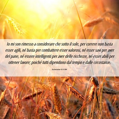 Picture 06 - Ecclesiaste 9:11 RIV - Io mi son rimesso a considerare che sotto il - Bible Verse Picture