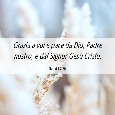 Picture 06 - Efesini 1:2 RIV - Grazia a voi e pace da Dio, Padre nostro, e dal - Bible Verse Picture