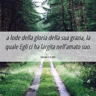 Picture 06 - Efesini 1:6 RIV - a lode della gloria della sua grazia, la quale - Bible Verse Picture