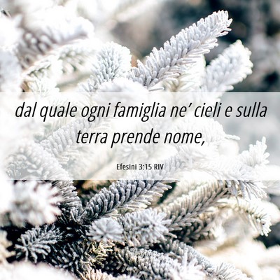 Picture 06 - Efesini 3:15 RIV - dal quale ogni famiglia ne’ cieli e sulla terra - Bible Verse Picture