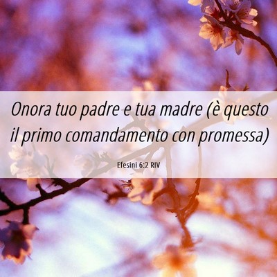 Picture 06 - Efesini 6:2 RIV - Onora tuo padre e tua madre (è questo il primo - Bible Verse Picture