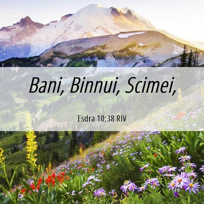 Picture 06 - Esdra 10:38 RIV - Bani, Binnui, - Bible Verse Picture