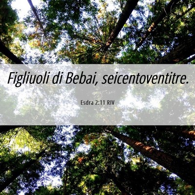 Picture 06 - Esdra 2:11 RIV - Figliuoli di Bebai, - Bible Verse Picture