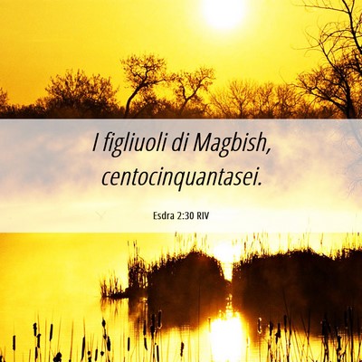 Picture 06 - Esdra 2:30 RIV - I figliuoli di Magbish, - Bible Verse Picture